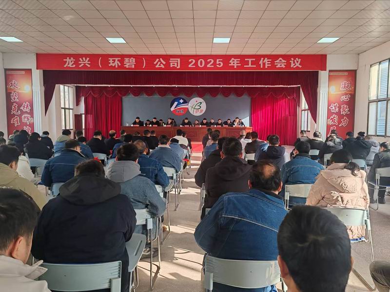 龙兴（九游（中国））公司召开2025年工作会议